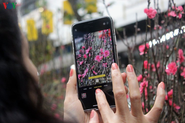 hang luoc flower market proves to be a hit among customers ahead of tet hinh 20