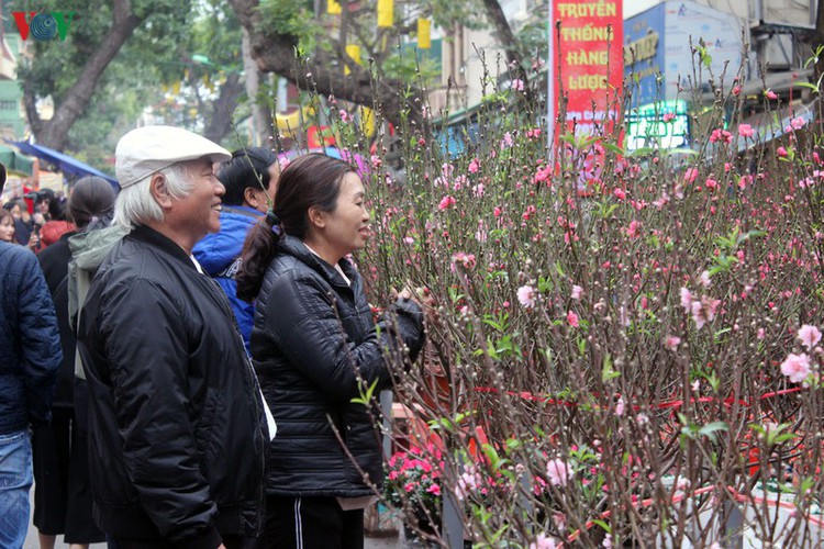 hang luoc flower market proves to be a hit among customers ahead of tet hinh 2