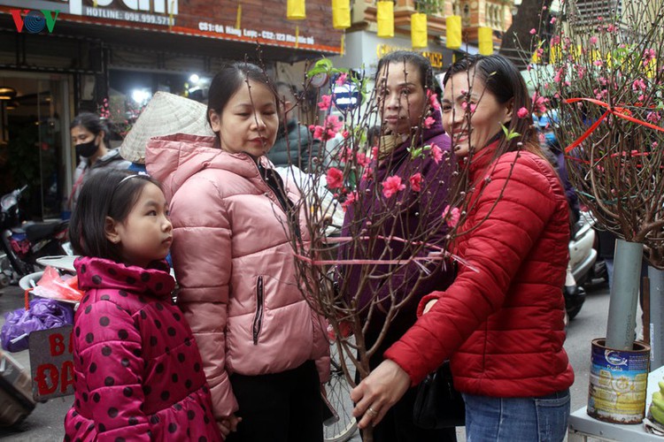hang luoc flower market proves to be a hit among customers ahead of tet hinh 6