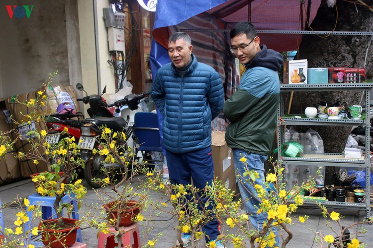 hang luoc flower market proves to be a hit among customers ahead of tet hinh 8