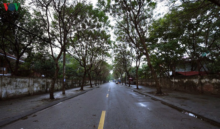 a peaceful hanoi on first day of lunar new year hinh 1