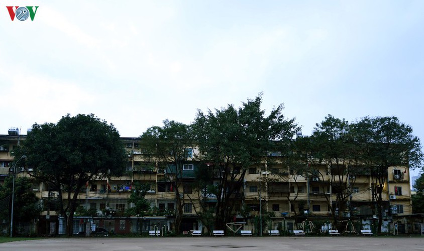 a peaceful hanoi on first day of lunar new year hinh 2