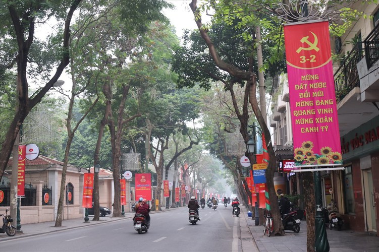 hanoi receives decorative makeover to celebrate party’s founding anniversary hinh 6