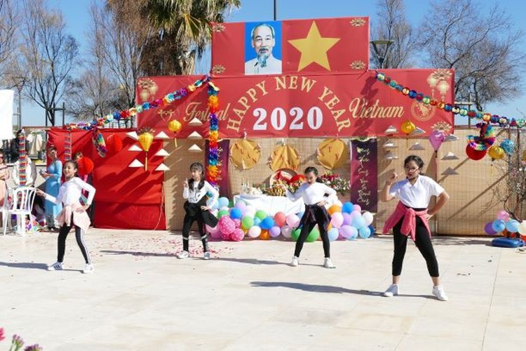 vietnam festival in cyprus sees 7,000 overseas vietnamese in attendance hinh 2