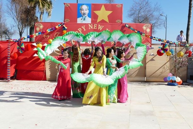 vietnam festival in cyprus sees 7,000 overseas vietnamese in attendance hinh 4