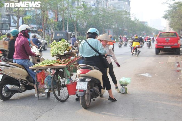 people across hanoi enjoy fresh scent of grapefruit flowers hinh 11