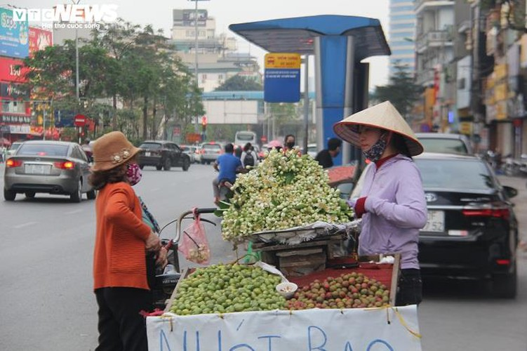 people across hanoi enjoy fresh scent of grapefruit flowers hinh 2