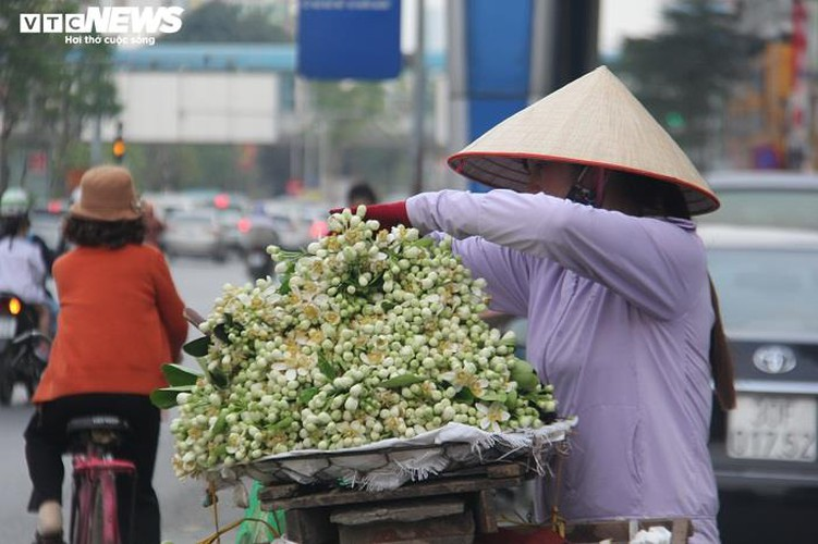 people across hanoi enjoy fresh scent of grapefruit flowers hinh 3