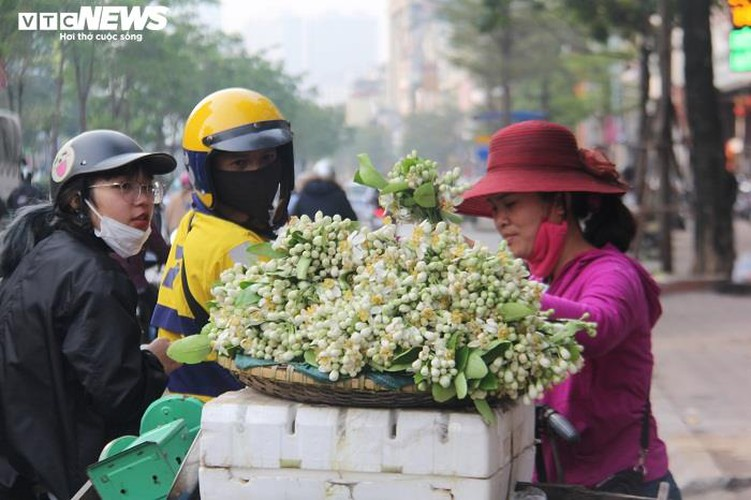 people across hanoi enjoy fresh scent of grapefruit flowers hinh 4