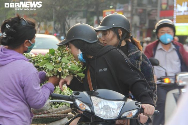 people across hanoi enjoy fresh scent of grapefruit flowers hinh 5