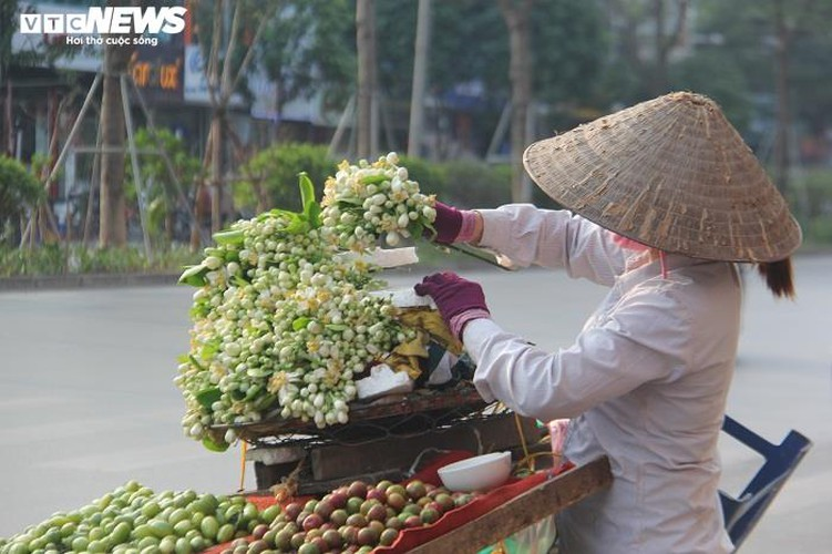 people across hanoi enjoy fresh scent of grapefruit flowers hinh 8