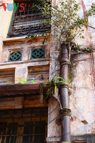 architecture of vietnam’s first radio transmission station hinh 9