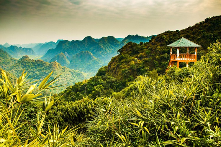 wanderlust offers 17 suggestions on best things to do in vietnam hinh 3