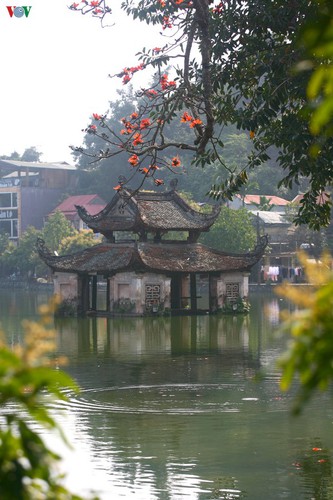 stunning red silk cotton trees spotted around old pagoda hinh 10