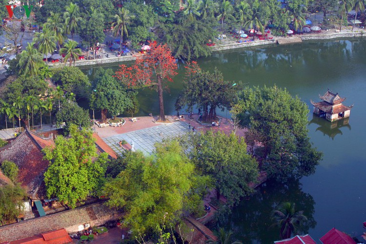 stunning red silk cotton trees spotted around old pagoda hinh 18