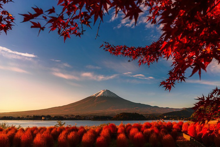 vietnamese photographer wins sony world photography awards hinh 10