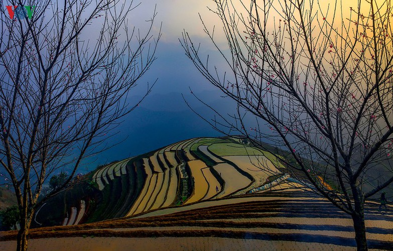 scenic cu vai village located in yen bai province hinh 12