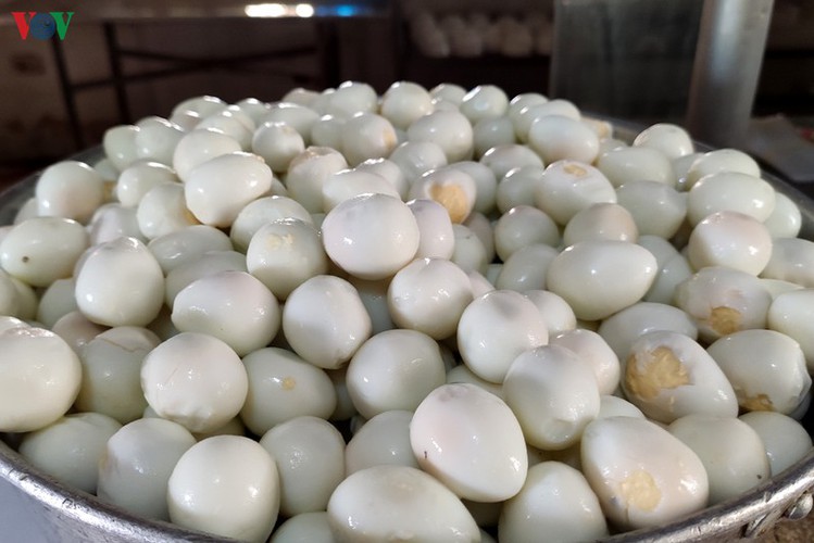 soldiers rise to challenge of caring for people in quarantine hinh 9