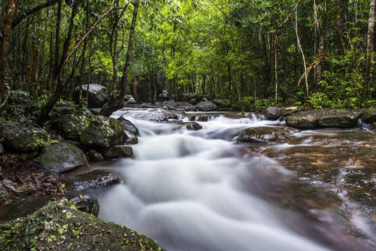 uk travel website introduces 10 best vietnamese national parks hinh 18