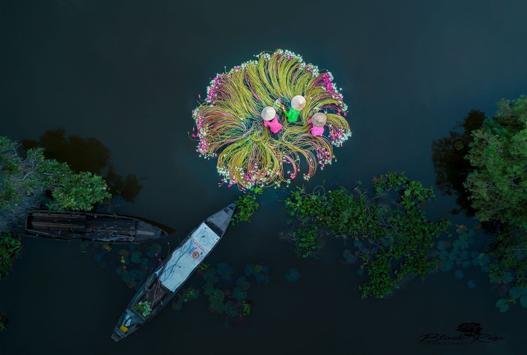 national geographic features mesmerizing bird’s-eye view photos of vietnam hinh 1