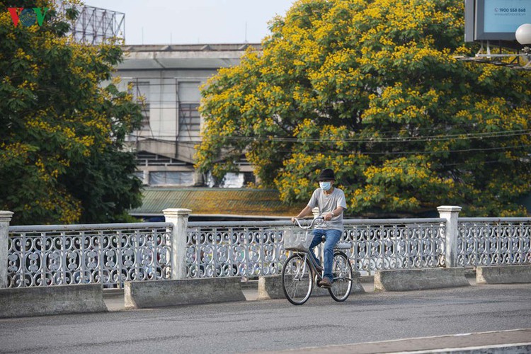 april sees flowers bloom throughout the streets of hue hinh 11