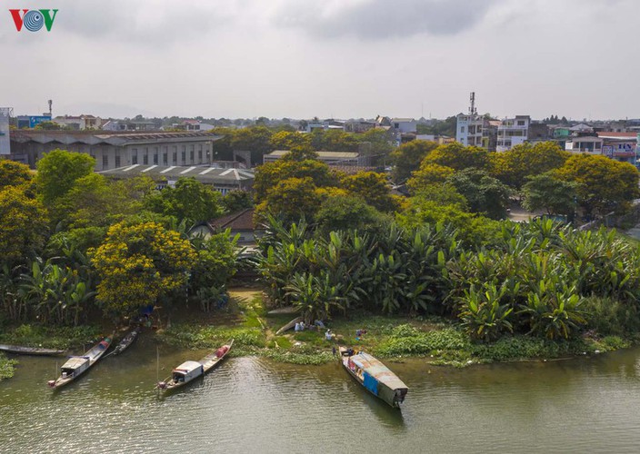 april sees flowers bloom throughout the streets of hue hinh 12