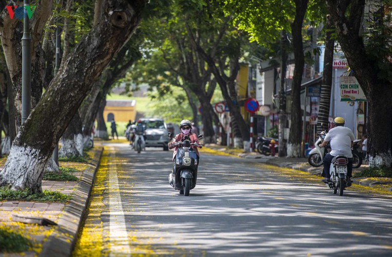 april sees flowers bloom throughout the streets of hue hinh 1