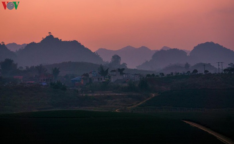a view of the romantic green tea hills atop moc chau plateau hinh 14