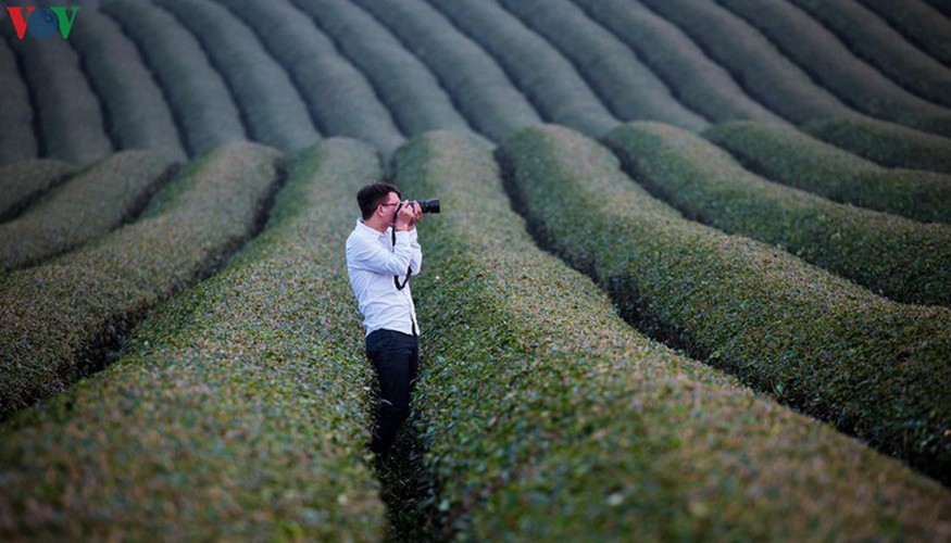 a view of the romantic green tea hills atop moc chau plateau hinh 25