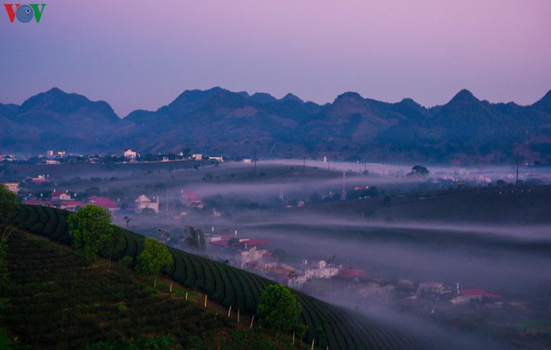 a view of the romantic green tea hills atop moc chau plateau hinh 2