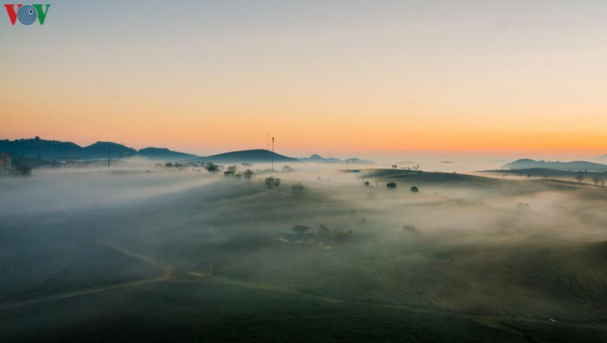 a view of the romantic green tea hills atop moc chau plateau hinh 3