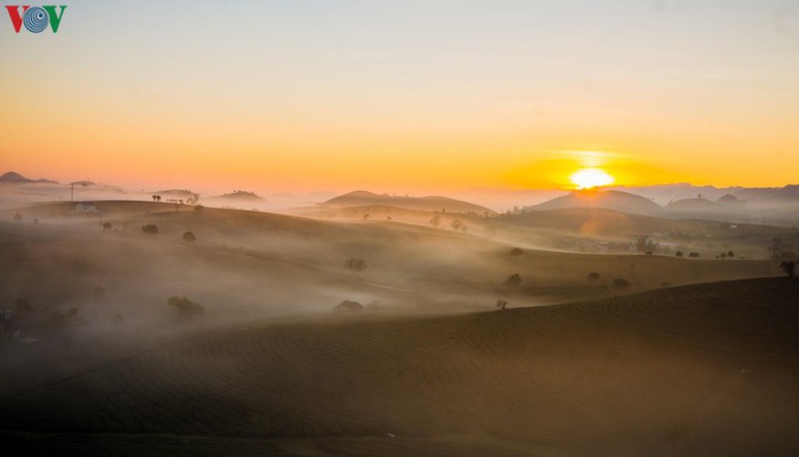 a view of the romantic green tea hills atop moc chau plateau hinh 4