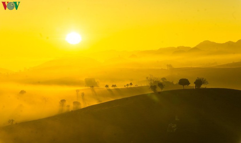 a view of the romantic green tea hills atop moc chau plateau hinh 5
