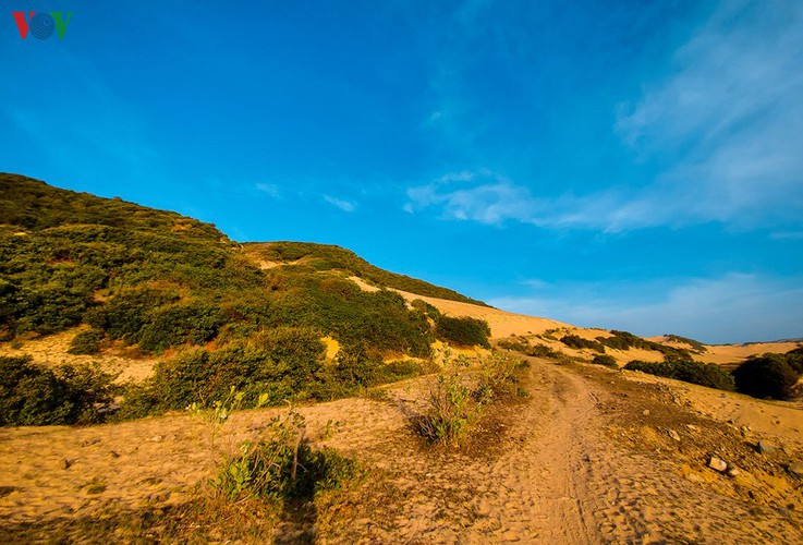 visiting the nation’s most easterly point at dawn hinh 5