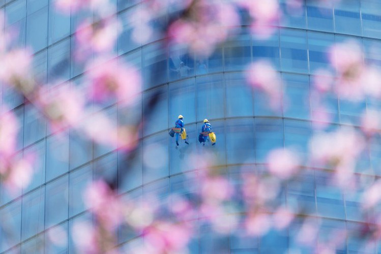 vietnamese photographer wins #spring2020 contest for best photo hinh 10