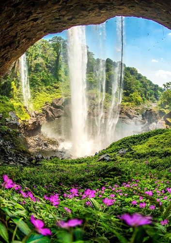 vietnamese photographer wins #spring2020 contest for best photo hinh 11