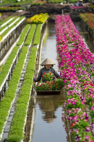 vietnamese photographer wins #spring2020 contest for best photo hinh 6