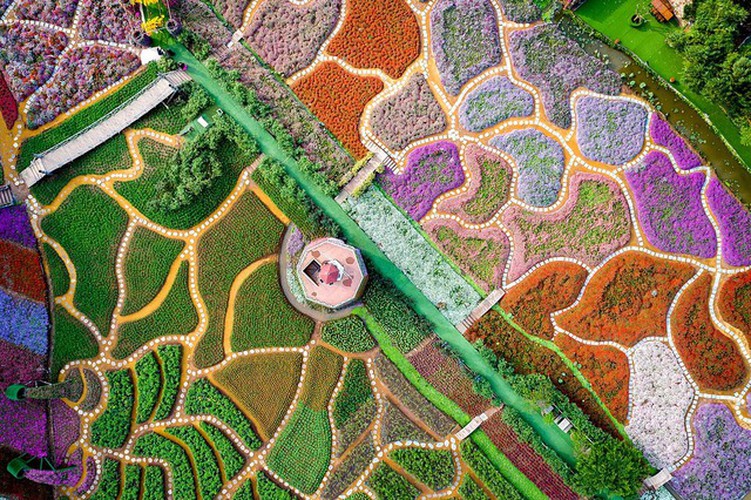vietnamese photographer wins #spring2020 contest for best photo hinh 7