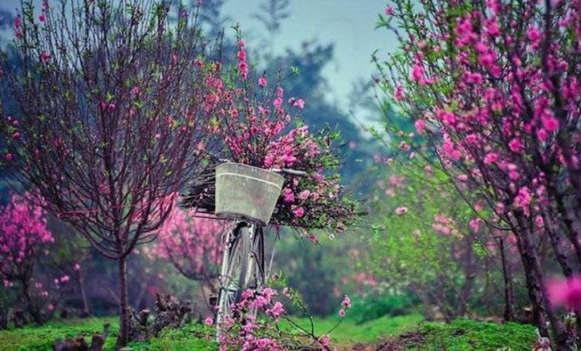 eight interesting things to experience around hanoi hinh 2