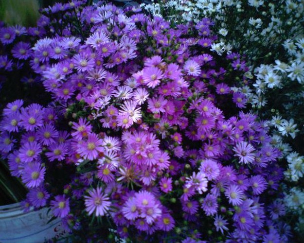 eight interesting things to experience around hanoi hinh 4