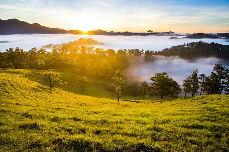 romantic da lat hidden in magnificent morning clouds hinh 13