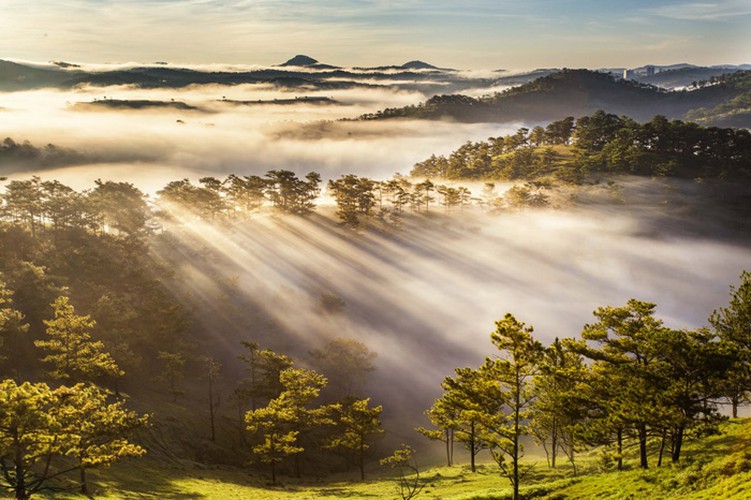 romantic da lat hidden in magnificent morning clouds hinh 14