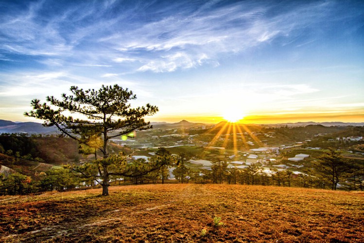 romantic da lat hidden in magnificent morning clouds hinh 15