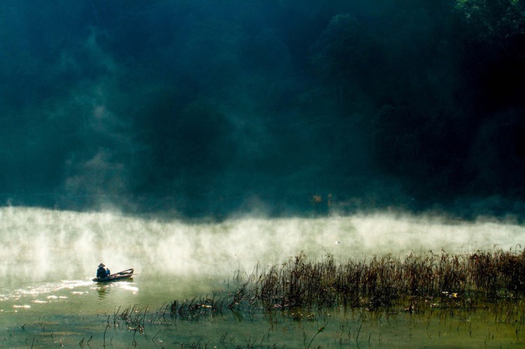 romantic da lat hidden in magnificent morning clouds hinh 16