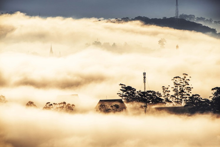 romantic da lat hidden in magnificent morning clouds hinh 2