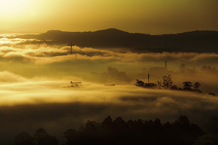 romantic da lat hidden in magnificent morning clouds hinh 3