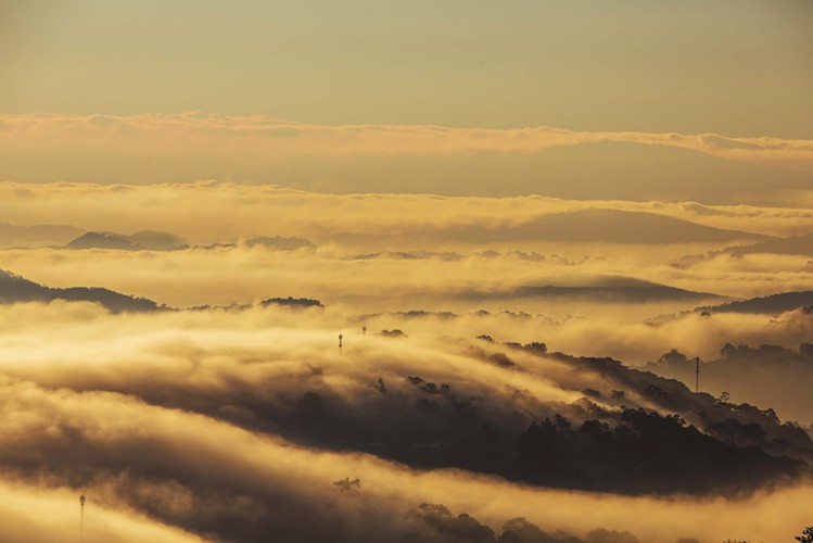 romantic da lat hidden in magnificent morning clouds hinh 4