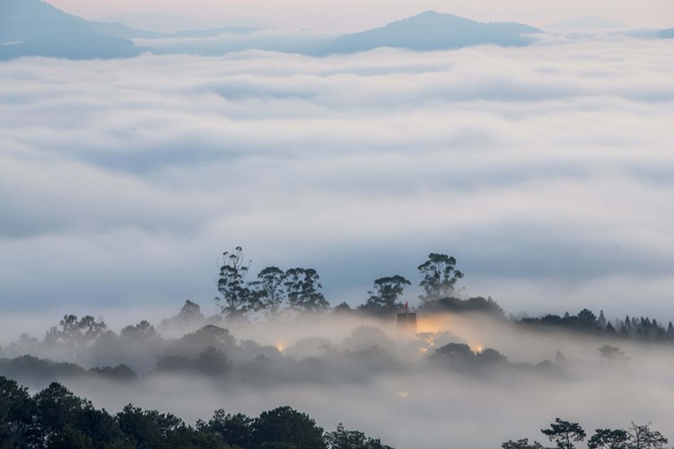 romantic da lat hidden in magnificent morning clouds hinh 7