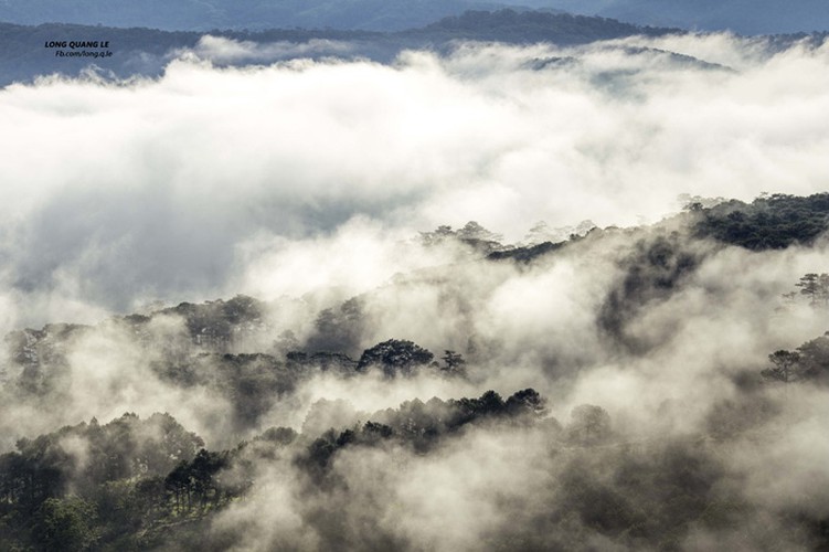 romantic da lat hidden in magnificent morning clouds hinh 9