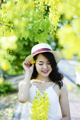 beautiful golden shower trees brighten up dien bien province hinh 10